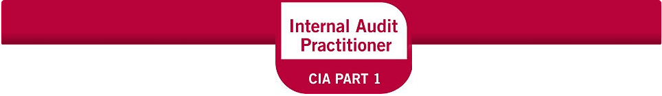 PRACTICANTE DE AUDITOR A INTERNA INTERNAL AUDIT PRACTITIONER IAP 